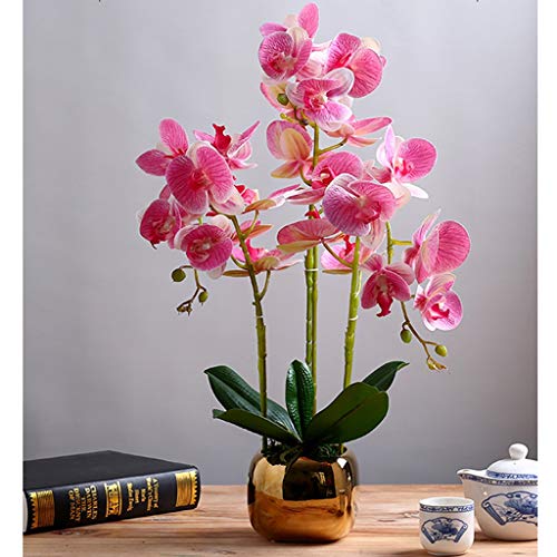 YPYOYG Flores Artificiales Phalaenopsis Adornos Artificiales de Flores con cerámica Dorada Flores de Seda de jarrón Decorativo for Bodas Jarrón de Oficina en casa Room Decoration Aesthetic Cover