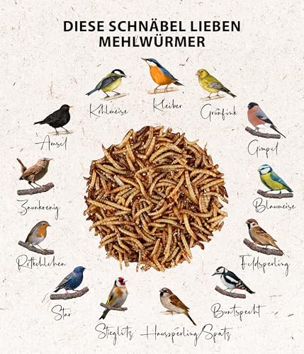 Dehner Natura Premium Wildvogelfutter, Wildvogelsnack, Getrocknete Mehlwürmer, Ganzjahresfutter proteinreich, hochwertiges Vogelfutter für Wildvögel, 500 g