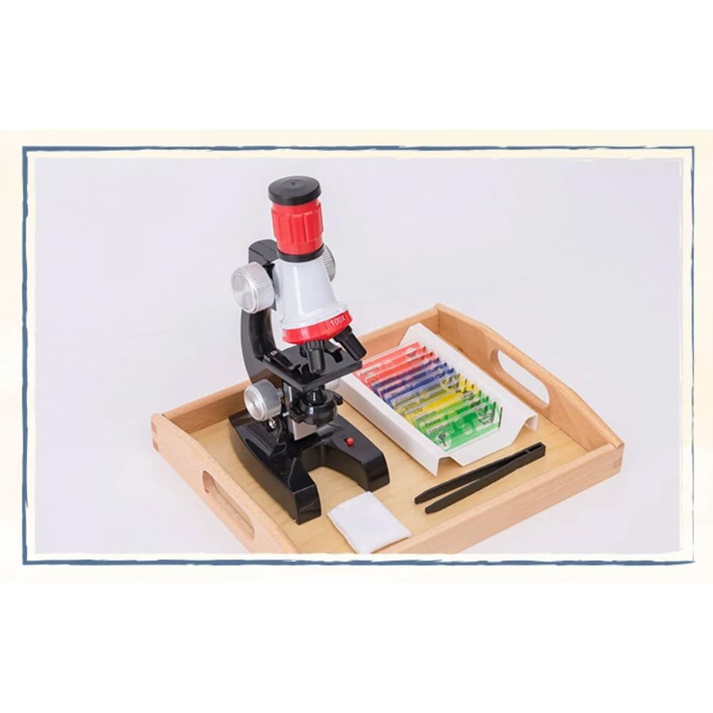 Kit de Microscopio con Aumento Ajustable para Niños Montessori