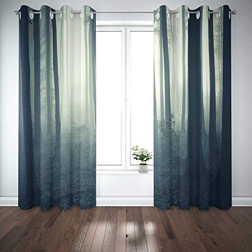 Musesh 52X63 InchÂ CurtainsÂ 2Â Panel Cool Window Curtains Blackout Curtain Panels Window Panel Curtains Cold Morning in Fog Forest Door Curtain Panels for Bedroom Living Room
