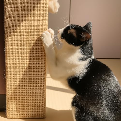 Arranhador de Sofá Arranhador para Gatos Várias Medidas 40cm à 65cm Fibra Natural (30CM)
