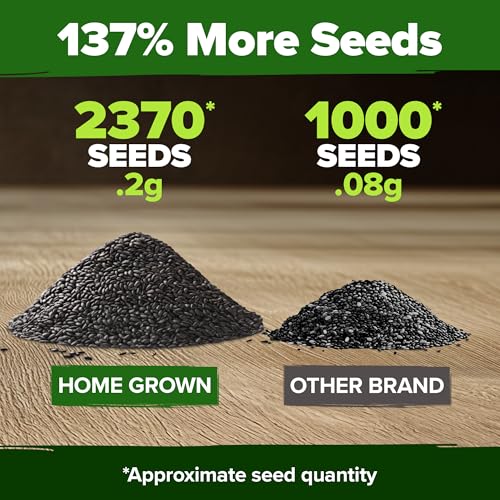 Image of HOME GROWN Non GMO Peppermint Seeds Pack 2,370 Heirloom Mint Seeds for Planting. Grow Peppermint Plants in Your Herb Garden Indoors or Outdoors (Mentha x piperita)
