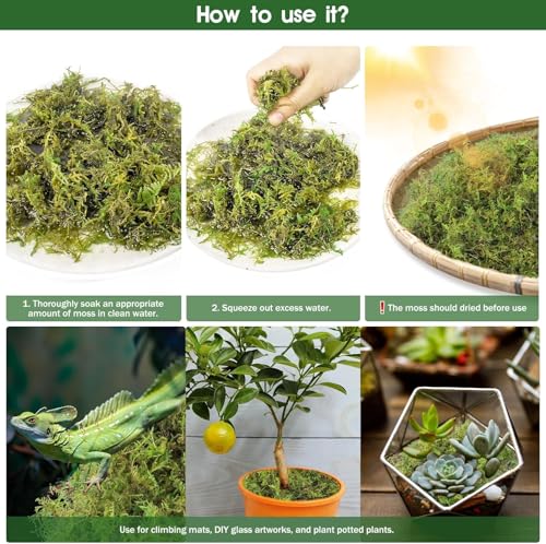 50QT Premium Sphagnum Moss for Reptiles- 14OZ Natural Moss Reptile Moss Bedding for Terrarium, Hatching, Forest Sphagnum Moss Reptile Substrate for Snakes, Gecko, Turtles, Frogs, Leopard
