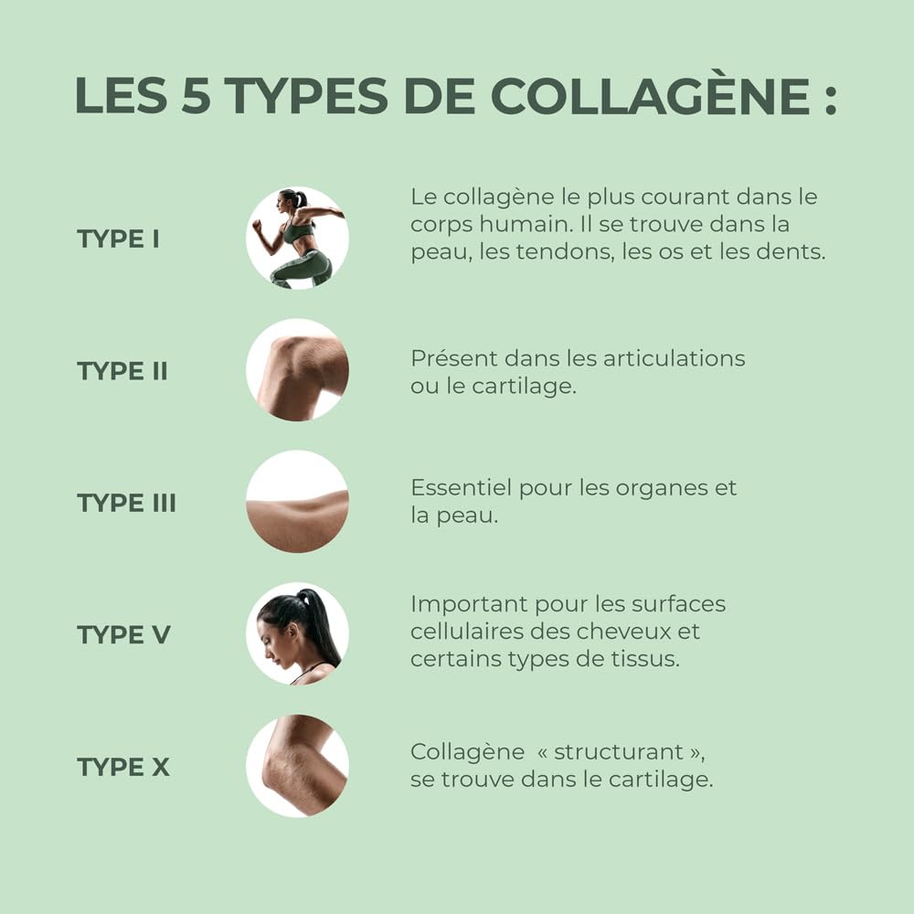 Primal Multi Collagen - complément alimentaire en poudre, sans gluten
