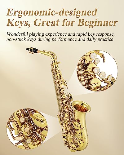 eastar professional alto saxophone golden e flat eb with cleaning kit carrying case mouthpiece neck strap reeds stand as-