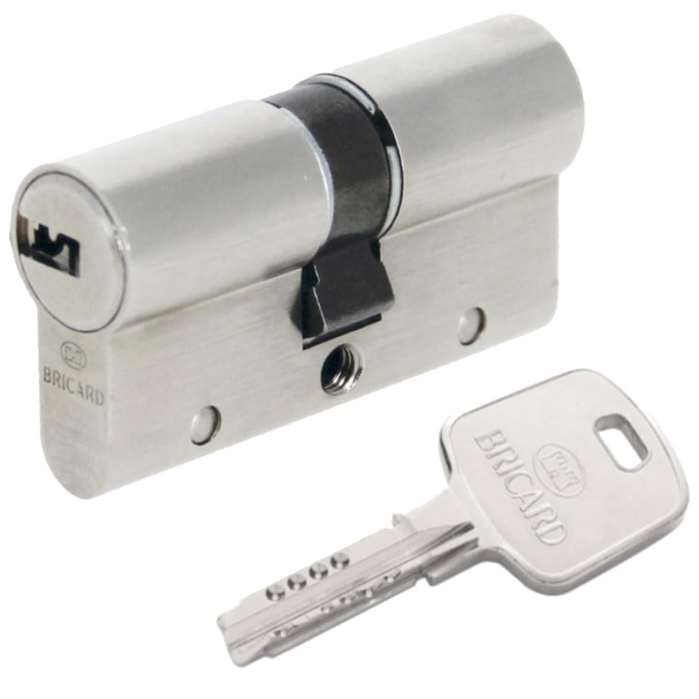 Bricard 18002 Cylindre de serrure double entrée Serial Xp 30+40 Nickelé