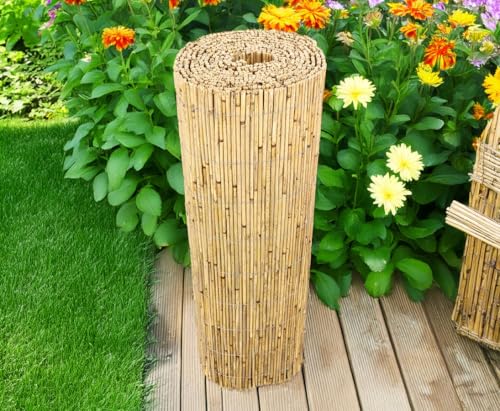Bambus-Discount Niedrige Schilfrohrmatte Beach 80 x 600cm als Balkon Sichtschutz - Schilfmatte Premium 0,8 x 6m Made in EU