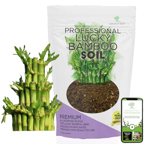 Professional Lucky Bamboo Soil | Large 2.2 Quarts Ready to Use for Lucky Bamboo Plants | Peat Moss,...