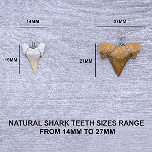 Fun-Weevz Real Shark Teeth For Jewelry Making, 12 Assorted Fossil Sharks Tooth Pendant Jewelry Accessories For Necklace, Small Bulk Wire Wrapped Fossils, Fossilized Charms For Bracelets #TOP3