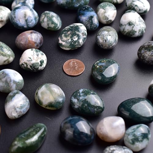 Image of Polished Stone Set Moss Agate Crystals, 0.8 inch Handpicked Tumbled Gemstones Rocks, Pebbles for Reiki, Chakra, Healing, Home Decor