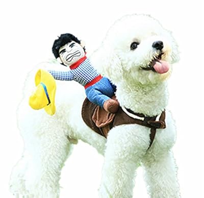 DELIFUR Dog Costumes Pet Costume Pet Halloween Suit Cowboy Rider Style Dogs Outfits(M)