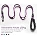 10 FT Strong Dog Leash Extra Heavy Duty Rock Climbing Rope Comfortable Padded Handle Highly Reflective Threads for Small Medium Large Dogs, 1/2 inch Diameter (Purple)