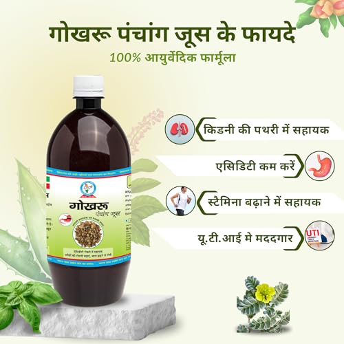 Image of Bharat Gram Udyog Gokhru Panchang - Increase Vitality & Kidney Health (Pack of 1) 1 L