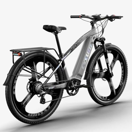 Antgooat Speedy E Bike Mountain Bike 29 pulgadas | Bicicleta eléctrica MTB Ebike batería 48 V 720 Wh 25 km/h para 170 – 190 cm Equipada con portaequipajes y guardabarros