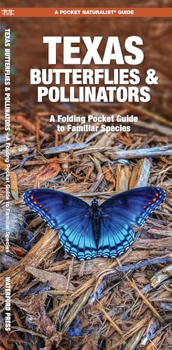 Texas Butterflies & Pollinators: A Folding Pocket Guide to Familiar Species (Wildlife and Nature Identification)