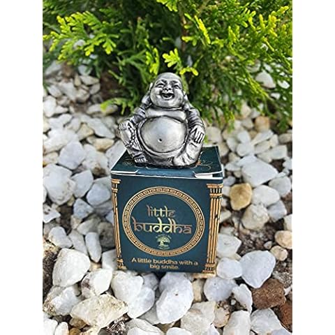 The Waterfall Collection Laughing Buddha Cover