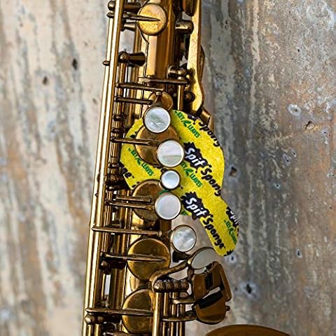 Key Leaves Pad secante Spit Sponge para Saxo Cover