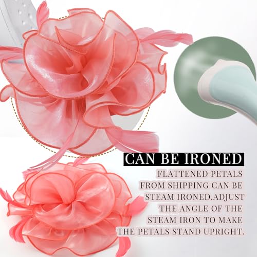 Image of DRESHOW Fascinators Hat Tea Party Headwear Ribbons Feathers on a Headband and a Clip for Women
