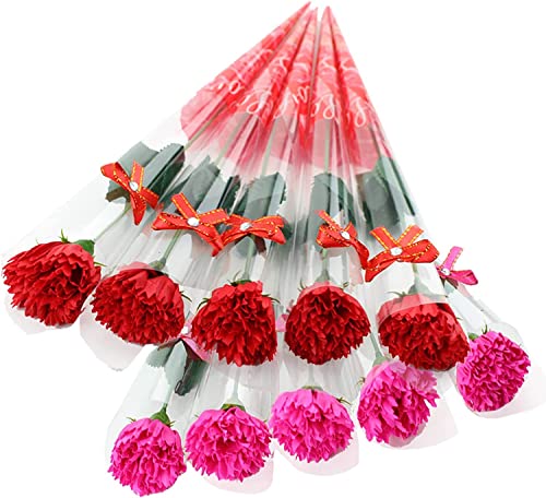 10本 ソープフラワー カーネーション 一輪 個別包装 枯れない ギフト 母 の 日 母親 誕生日プレゼント