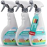 RASCH HOME DEFENDER® Ameisenspray für Innen & Aussen [3x500ML] - Effektives Ameisen Spray -...