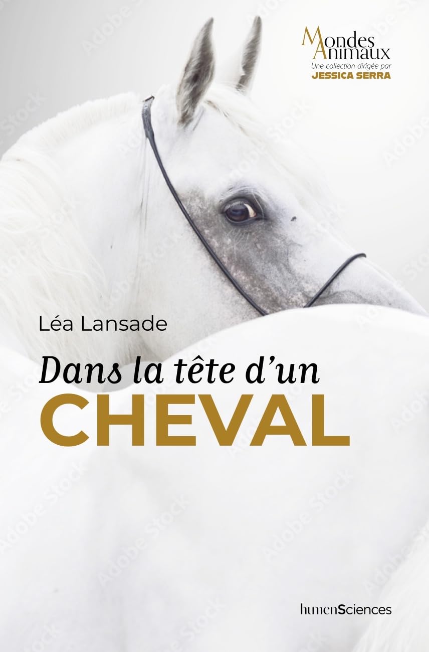 Dans la tête d'un cheval