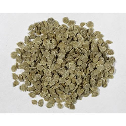 Pile of small, light green tomato seeds