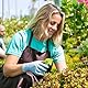 CXRYLZ-FUR 2 Stücke Gartenschere, Klein Ernteschere, Rosenschere, Bonsai Schere, Pflanzschere, Blumenschere, Pruning Shears Garden Scissors für Baumzweige, Blumen, Früchte, Pflanzen
