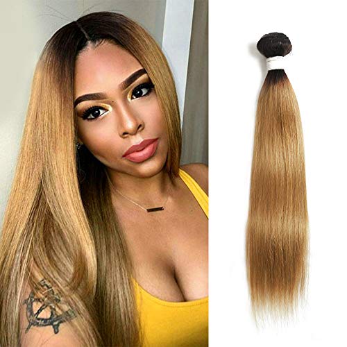 X-TRESS Ombre Straight Human Hair Bundles 100% Human Hair Single Bundle Ombre Honey Blonde Bundles Human Hair Extension Ombre Color 27 Hair Weave(12 Inch, T1B/27)