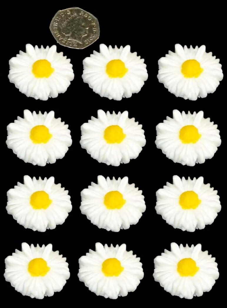 12 x Edible 3D 35mm Daisies Daisy Flower with Coloured Center icing toppers, cake cupcakes decorations (Bespoke Colour)