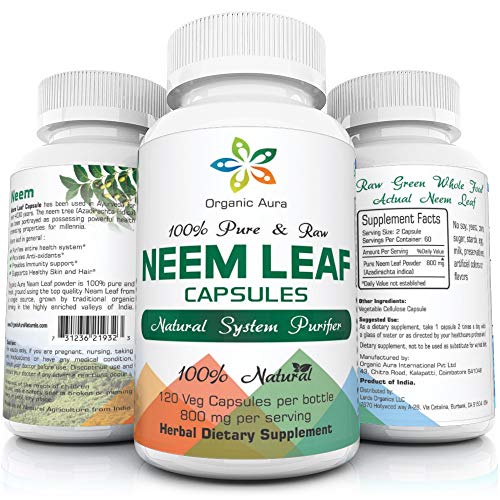 Top 10 Best Ab Neem Oils 21 Bestgamingpro