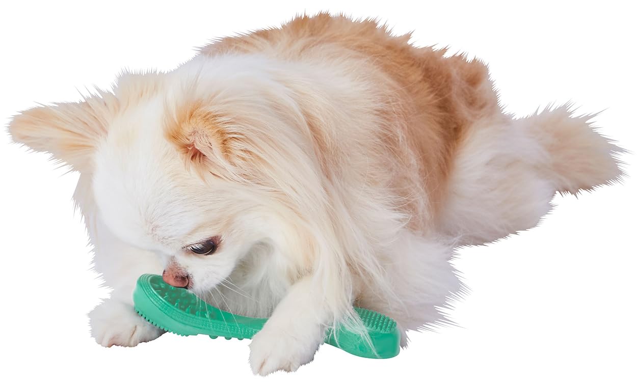 【入手困難】GUCCI DOG 犬用 ラバードッグトイ 赤 骨ボーン 入手困難】GUCCI DOG 犬用 ラバードッグトイ 赤 骨ボーン 入手困難