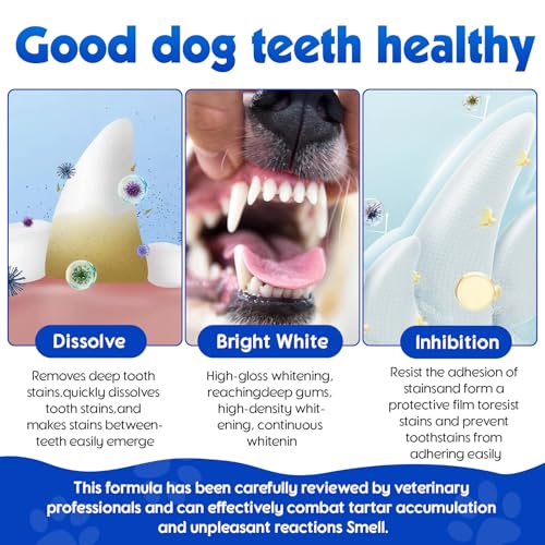Image of Dog Teeth Cleaning Powder - Dental Powder for Dogs Teeth - Plaque Removal - Supports Gum Health - Tartar Remover with Natural Herb Blend and Postbiotics 30 Day Supply - Mint Flavor