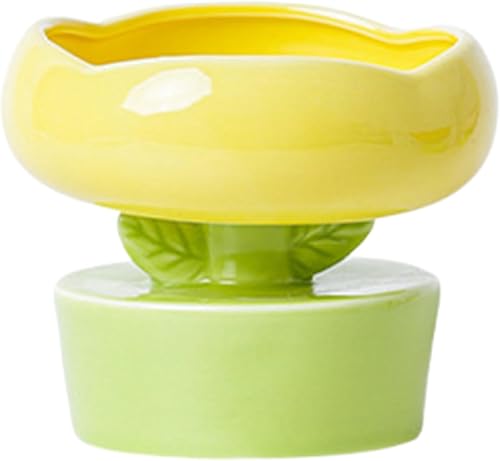 Cuenco elevado de comida para perros y gatos, alimentador de agua elevado para gatos, platos de comida para gatos elevados con excelente calidad,