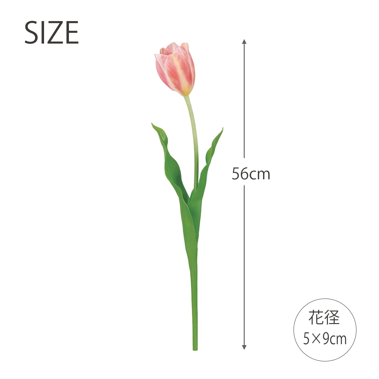 Amazon｜アスカ 造花 チューリップ ピンクイエロー 全長:約56cm、花径