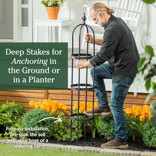 Evergren Garden Metal Obelisk Trellis for Climbing Plants | Indoor/Outdoor Floral Pattern Arch Trellis for Potted Plants (5 ft Black) by Evergreen Garden - Image 5