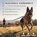 HUND IST KÖNIG Schleppleine 15m für Hunde 12-70kg - Lange robuste Hundeleine mit Griffpolster & Sicherheitskarabiner - Trainingsleine + eBook, Hundeleine lang 5m, 10m, 15m, 20m