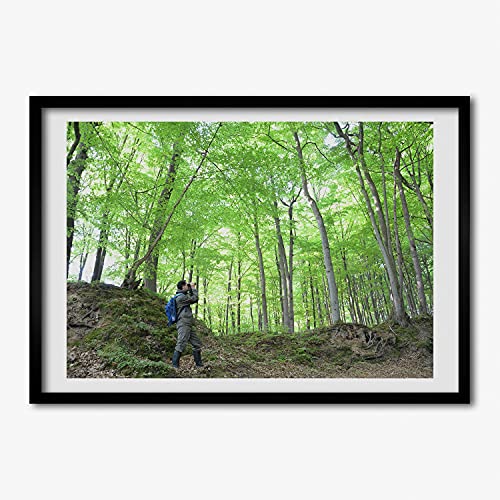 Tableau Peinture Décoratif Ornithologue Forêt Cadre Bois 70x50 cm