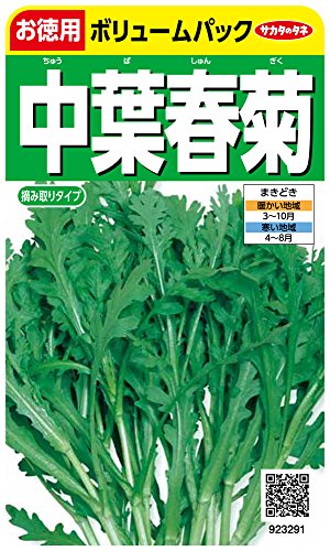 TJ^̃^l 3291 tte VMN (p) 00923291