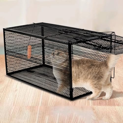 Trampa For Gatos - Trampa De Metal Resistente Equipo De Seguridad Instalación Sencilla Se Adapta A Todos Los Tamaños De Animales Pequeños con Asas(39 * 18 * 18CM)