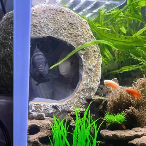 Image of Magnetic Aquarium Cave Fish Tank Hideout Cave for Small Fish Breeding, Shrimp Nest, Betta Fish Tank Ornaments Resin Aquarium Decorations