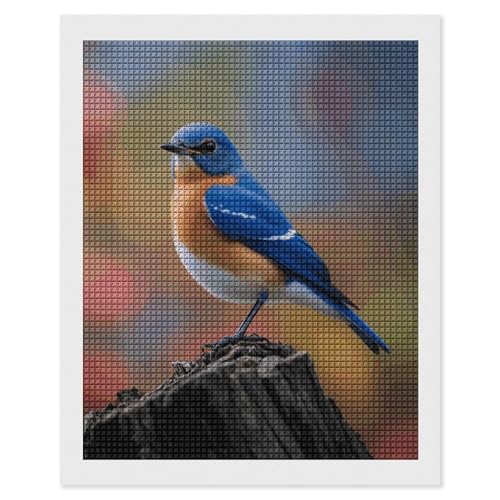 Peinture diamant Eastern Bluebird kit complet anti stress débutant FodPand