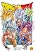 Dragon Ball Super, Vol. 24