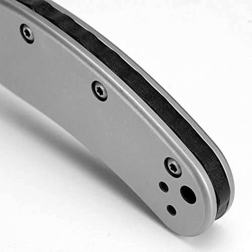 Kershaw Zing Pocket Knife (1730Ss); 3" High-Performance 8Cr13Mov Stainless Steel Blade, 410 Stainless Steel Handle, Bead-Blasted Finish, Speedsafe Assisted Opening, Reversible Pocketclip; 3.3 Oz #TOP6