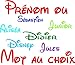 stickers autocollant voiture auto maison prénom ou mot au choix police d’écriture Disney