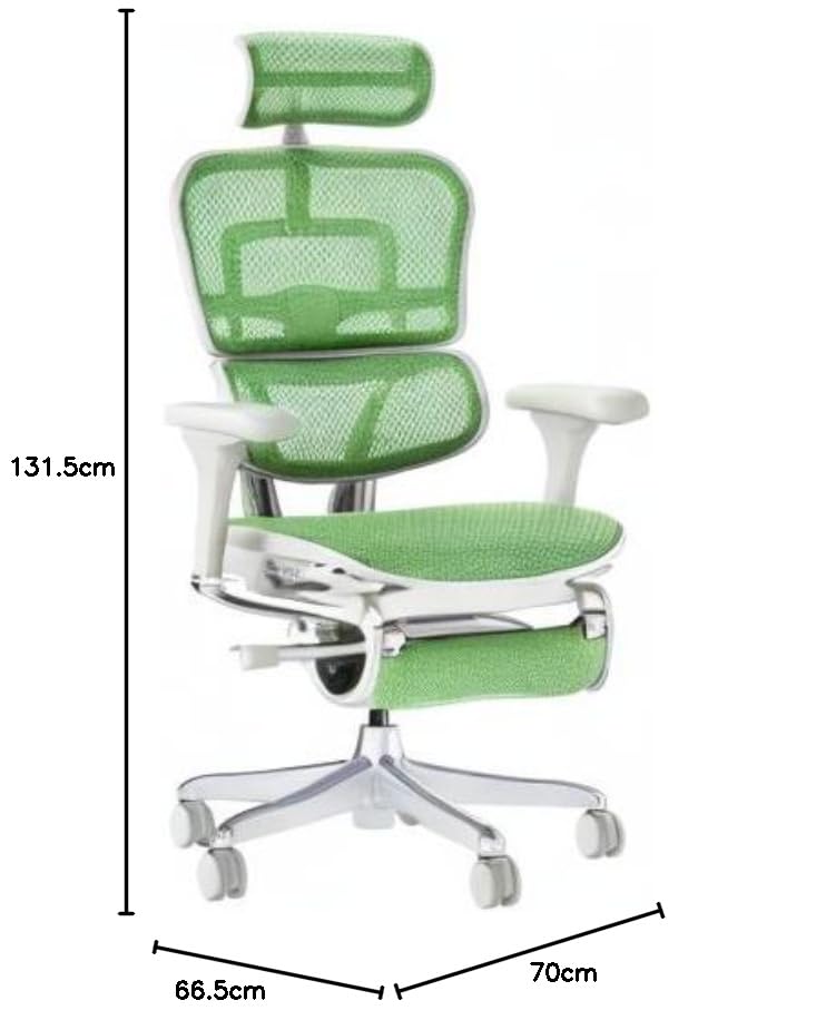 Amazon.co.jp: 【メーカー組立済 完成品】Ergohuman エルゴヒューマン