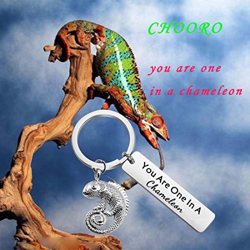 CHOORO You Are One In A Chameleon Keychain Chameleon Pendant Jewelry Happy Anniversary Birthday Valentine's Day - Image 6