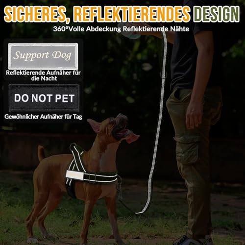 Eyein Hundegeschirr mit Leine für große mittelgroße Hunde, Weich gepolsterter Brustgeschirr mit 2 Leinenclips, Reflektierend & Leichtgewicht Anti Zug Geschirr für Spaziergänge Training, Grün, XL