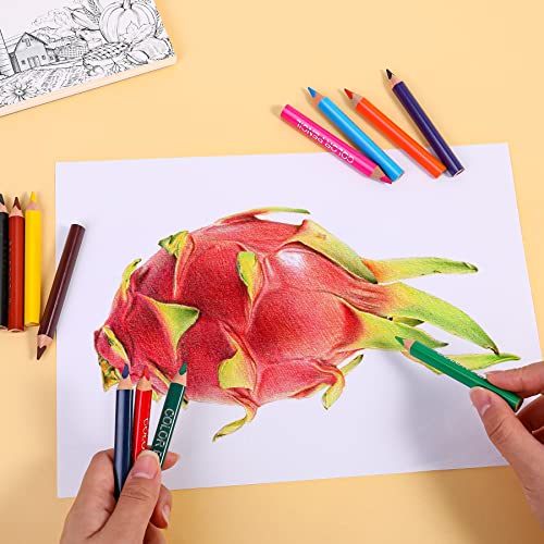 Pablue Triangular Jumbo Color Pencils, Short Fat Pre-Sharped Colored Pencils With Pencil Sharpener And Eraser, For Toddlers Student Drawing And Doodling(12 Colors) thumb #5