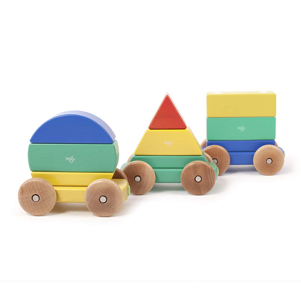 Tegu Shape Train Building Blocks (9 Piece), Rainbow, One Size