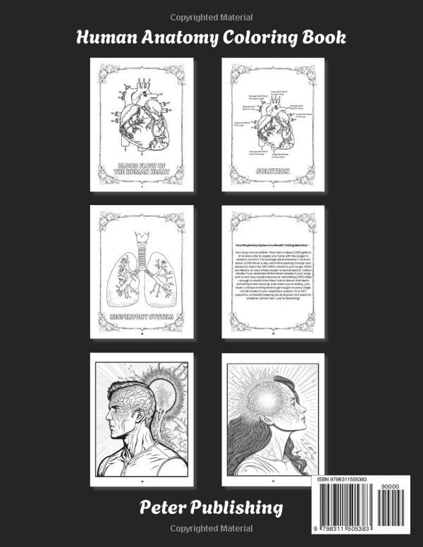 Human Anatomy and Physiology Coloring Book: 101 Pages with Detailed Illustrations and Quizzes for Each | Human Body Coloring Book with Fascinating ... Adults, Doctors, Medical Students, and Nurses - Image 2
